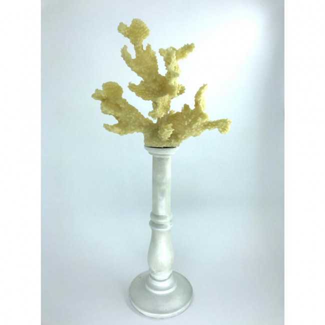 PEDESTAL CORAL ALGAS 43CM