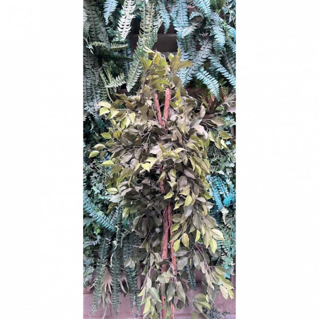 ARVORE CENOGRÁFICA FICUS 1.80M