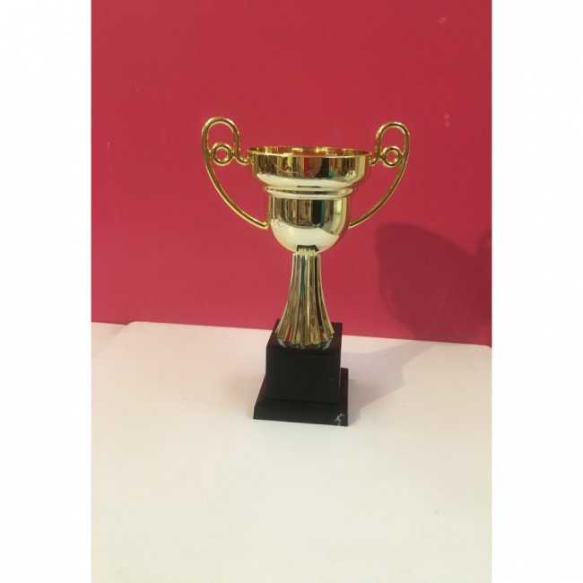 TROFÉU TAÇA DOURADO C/ ASA 20 CM