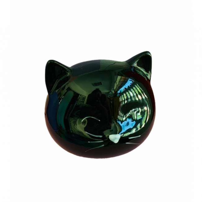 Cabeça gato preto