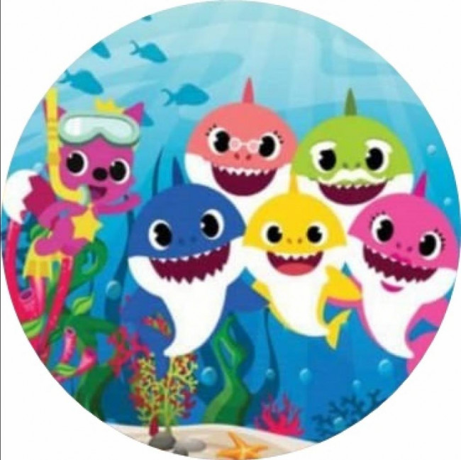 CAPA AVULSA PARA PAINEL CIRCULAR  1,5m (BABY SHARK)  (P5)