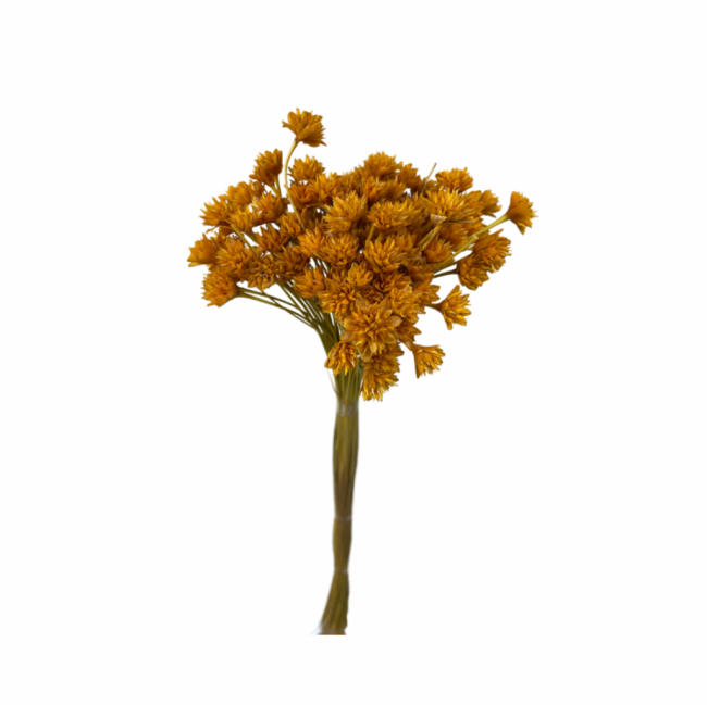 Flor seca amarela