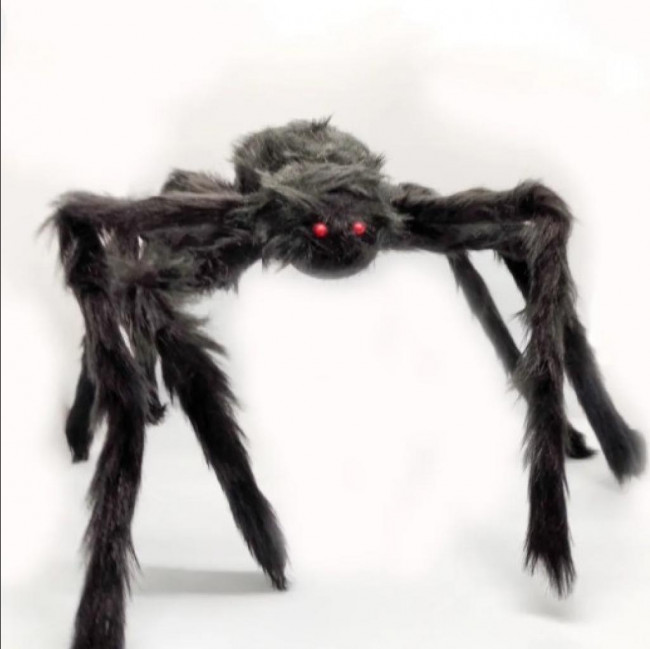 Aranha Pelúcia