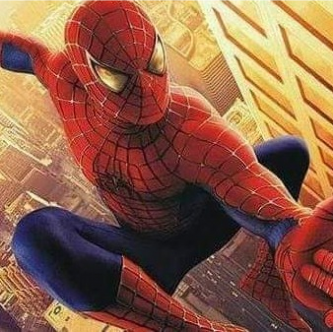 Painel sublimado homem aranha