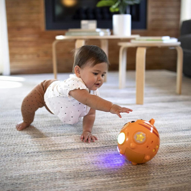 Bolinha de movimento Baby Einstein