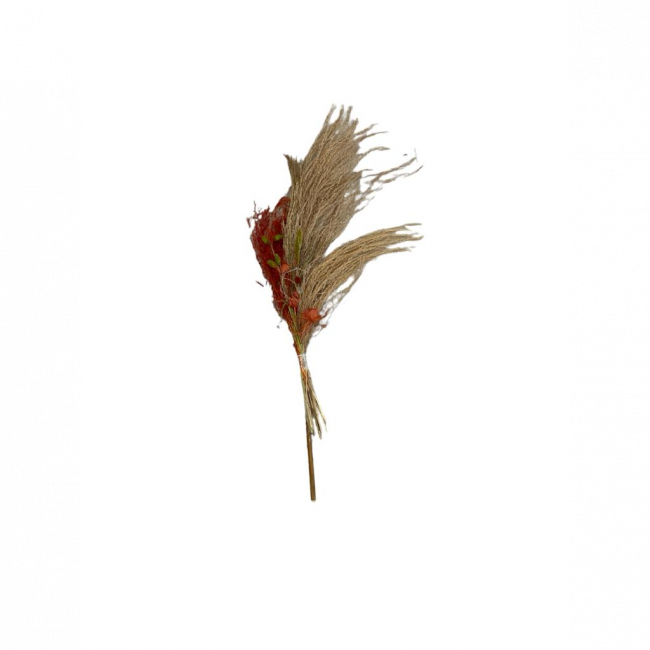 Arranjo flor natural desidratada capim dos arrozinho| folhagem terrozo G