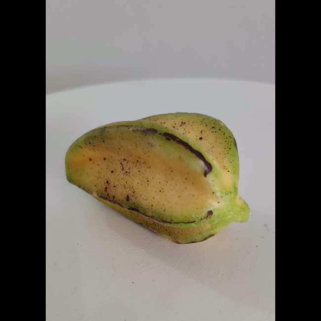 Carambola (Fruta/Quitandinha)