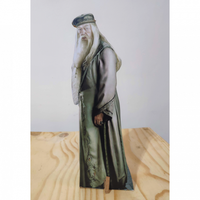 Display Dumbledore (Harry Potter)