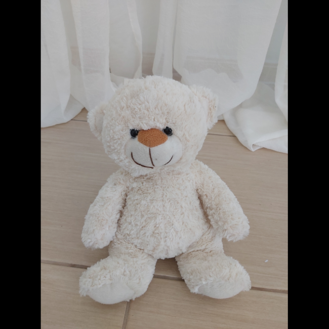 Urso pelucia palha p (n)