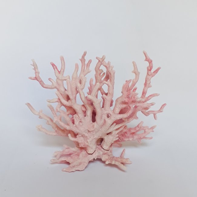 CORAL ROSA PLASTICO