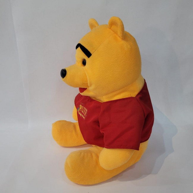 PELUCIA URSINHO POOH