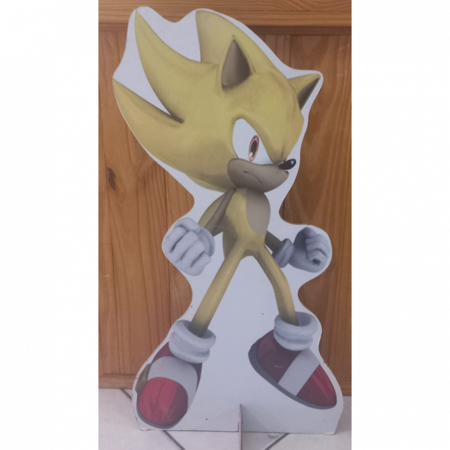 DISPLAY DE CHÃO SONIC