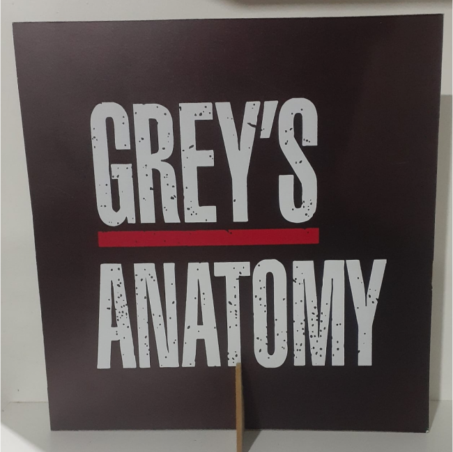 DISPLAY DE MESA GREYS ANATOMY