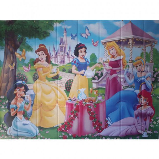 PAINEL PRINCESAS