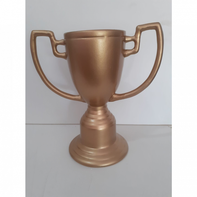 TAÇA DE FUTEBOL