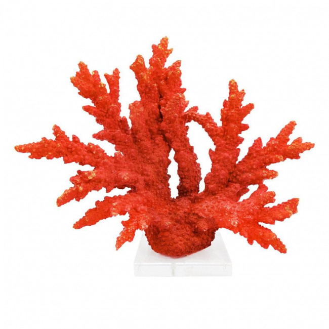 Coral vermelho largo