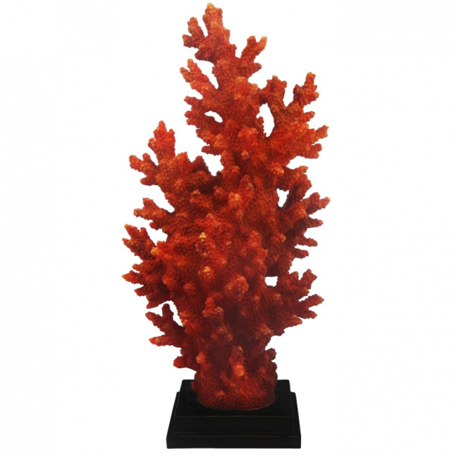 Coral Vermelho