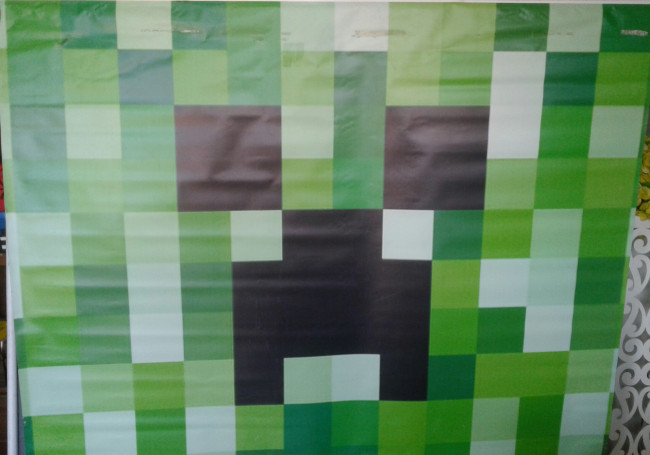 LONA MINECRAFT