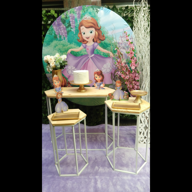 DECORAÇÃO PRINCESA SOFIA