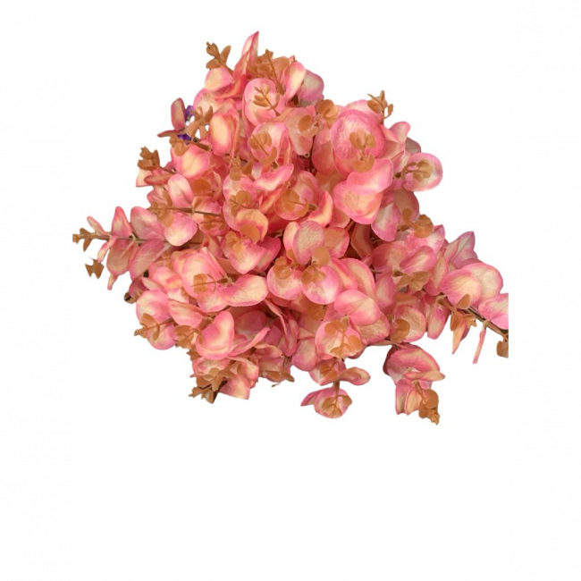 Buque de eucalipto - Rosa