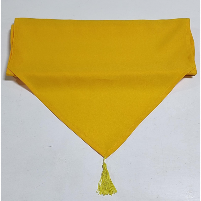 Trilho  amarelo  (junino)