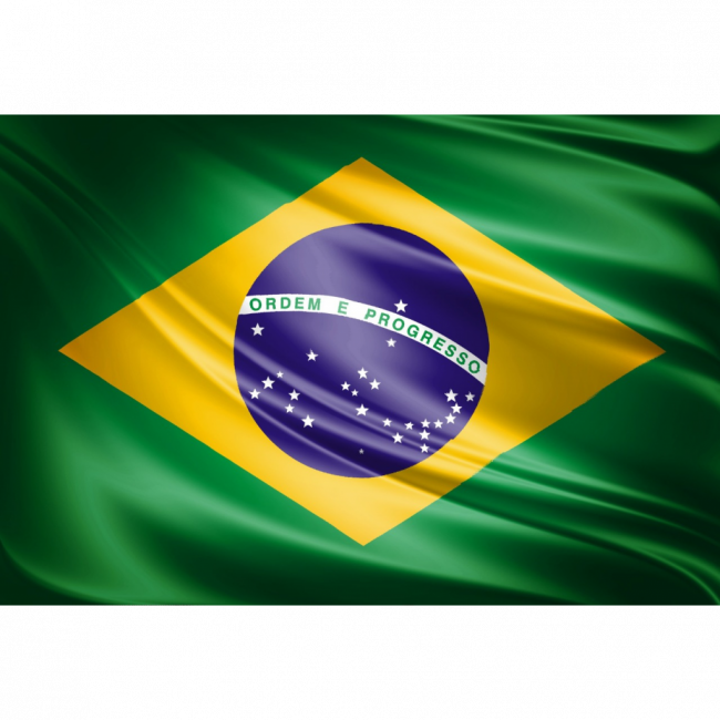 Bandeira do Brasil ( tecido )