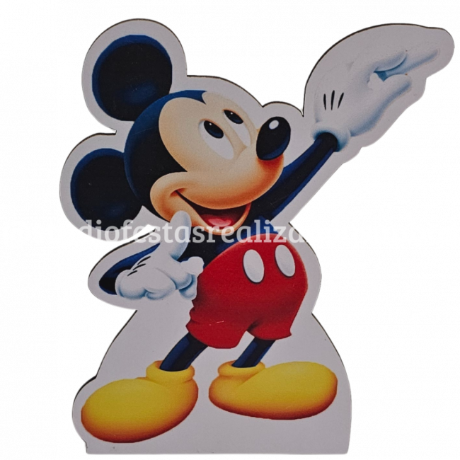 DISPLAY MICKEY 5