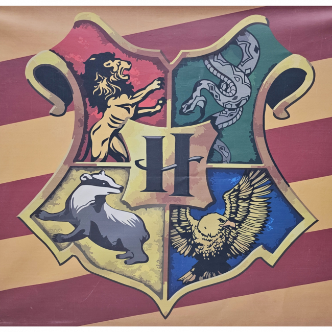 PAINEL RETANGULAR HARRY POTTER