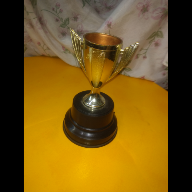 troféu plastico p