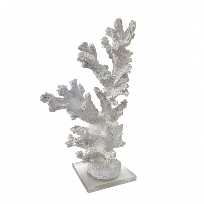 ESCULTURA CORAL - BRANCO