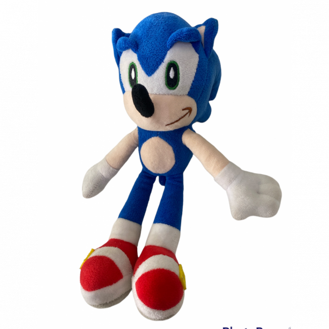 SONIC P