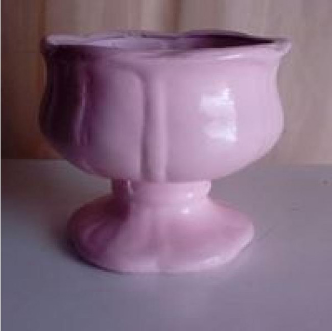 VASO PARA PIRULITO ROSA BB