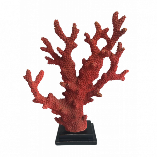 CORAL DECORATIVO BTC CORAL