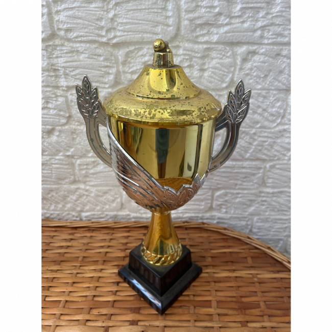 Troféu futebol 40x23