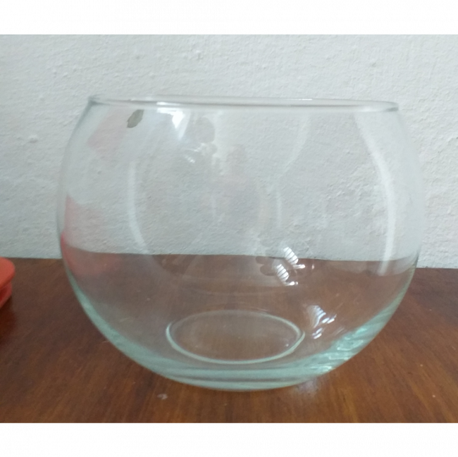 Vaso Aquário de Vidro 17cm