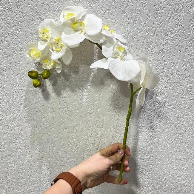 Haste Branca de Orquídea - 40cm