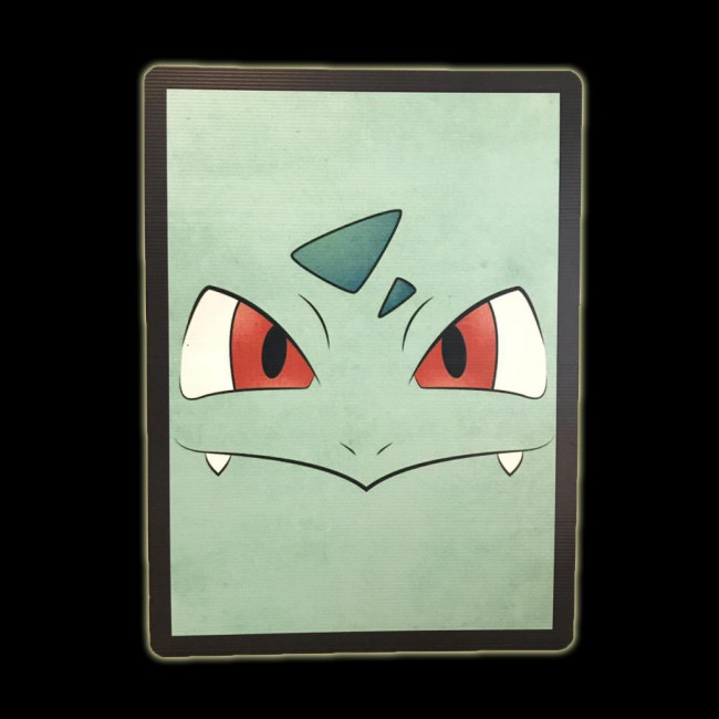 ..Pokemon - Placa c/ Borda Preta 44cm (A) x 33cm (L) Verde