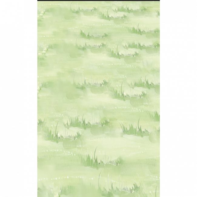 Tapete Lona Grama Aquarela 3.46m x 5m (2 partes) 3 e 4 Mod.2