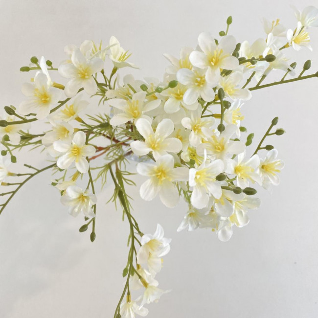 Flor de Cerejeira Branca