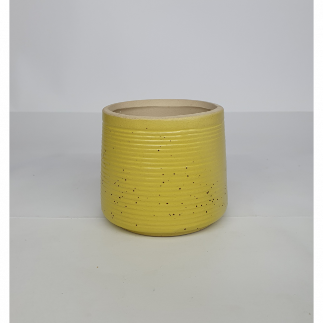 Vaso Amarelo pp