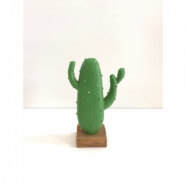 Cactus Chile 1