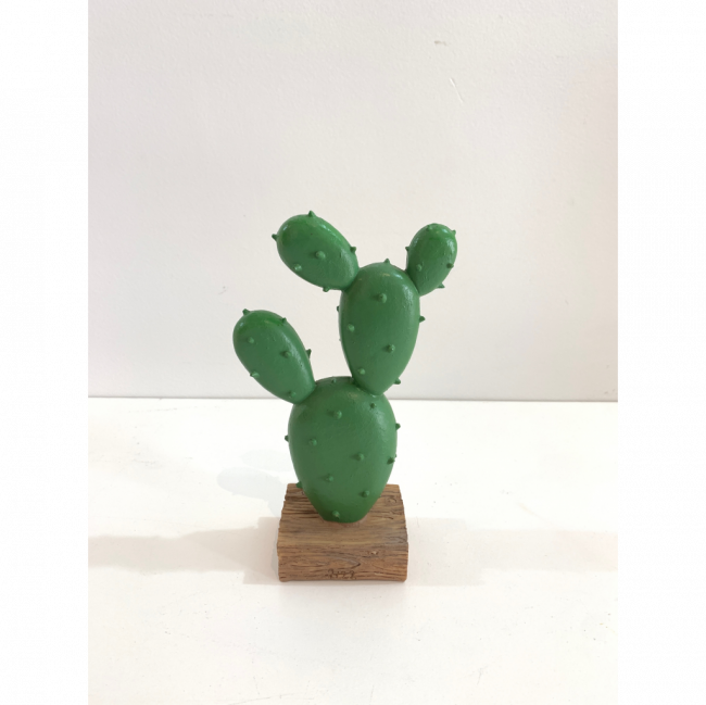 Cactus Chile 2