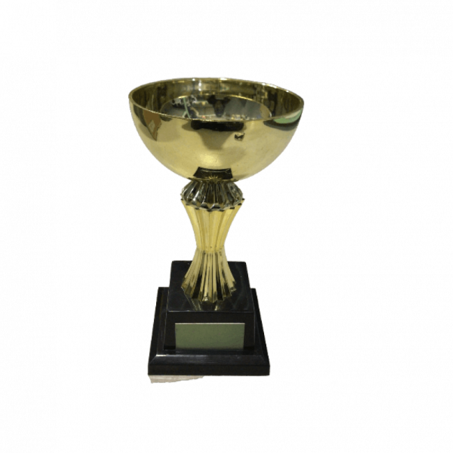 Troféu de Plástico Dourado