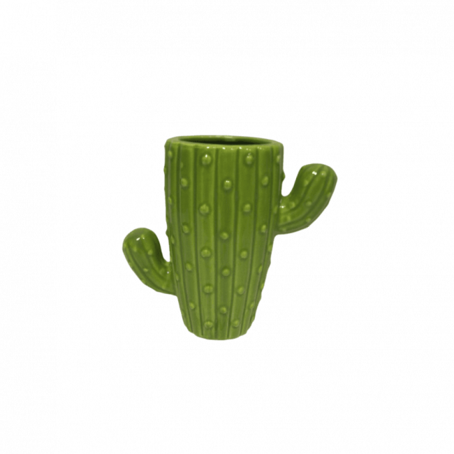 Vaso de Cacto Verde