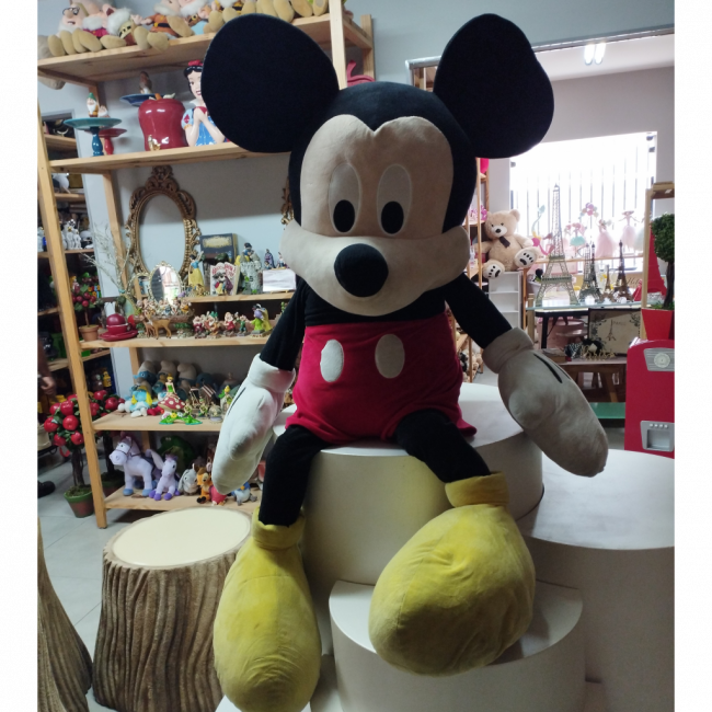 MICKEY MOUSE GG 1,50X70