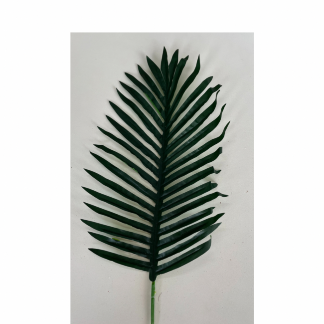 Folha palmeira (17Lx35A)