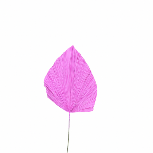 Folha pink seca ( +ou- 27D)