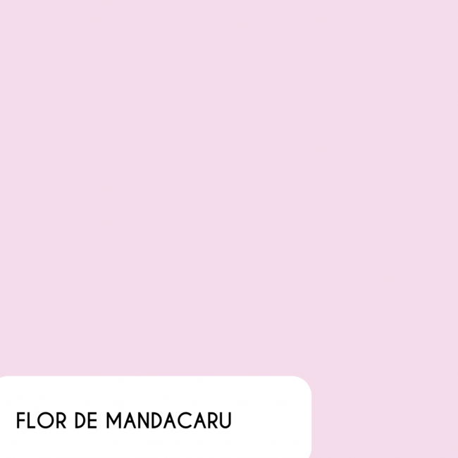 COR FLOR DE MANDACARU